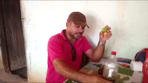 Recipe for the Natural Remedy with Honey from Bee Europe and Sucupira.
