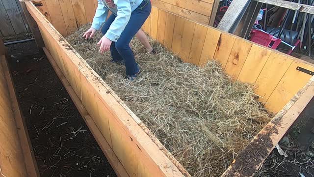 Planter Box Fill CHEAP - Planting Seed Starts - Giving Chickens Grass