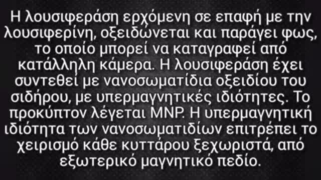 Μετάλλαξη μέσω Μαγνητικά Τροποποιημένης Λουσιφεράσης
