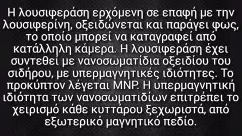 Μετάλλαξη μέσω Μαγνητικά Τροποποιημένης Λουσιφεράσης