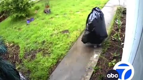 Thieves Will Do Most Anything To Steal Your Stuff