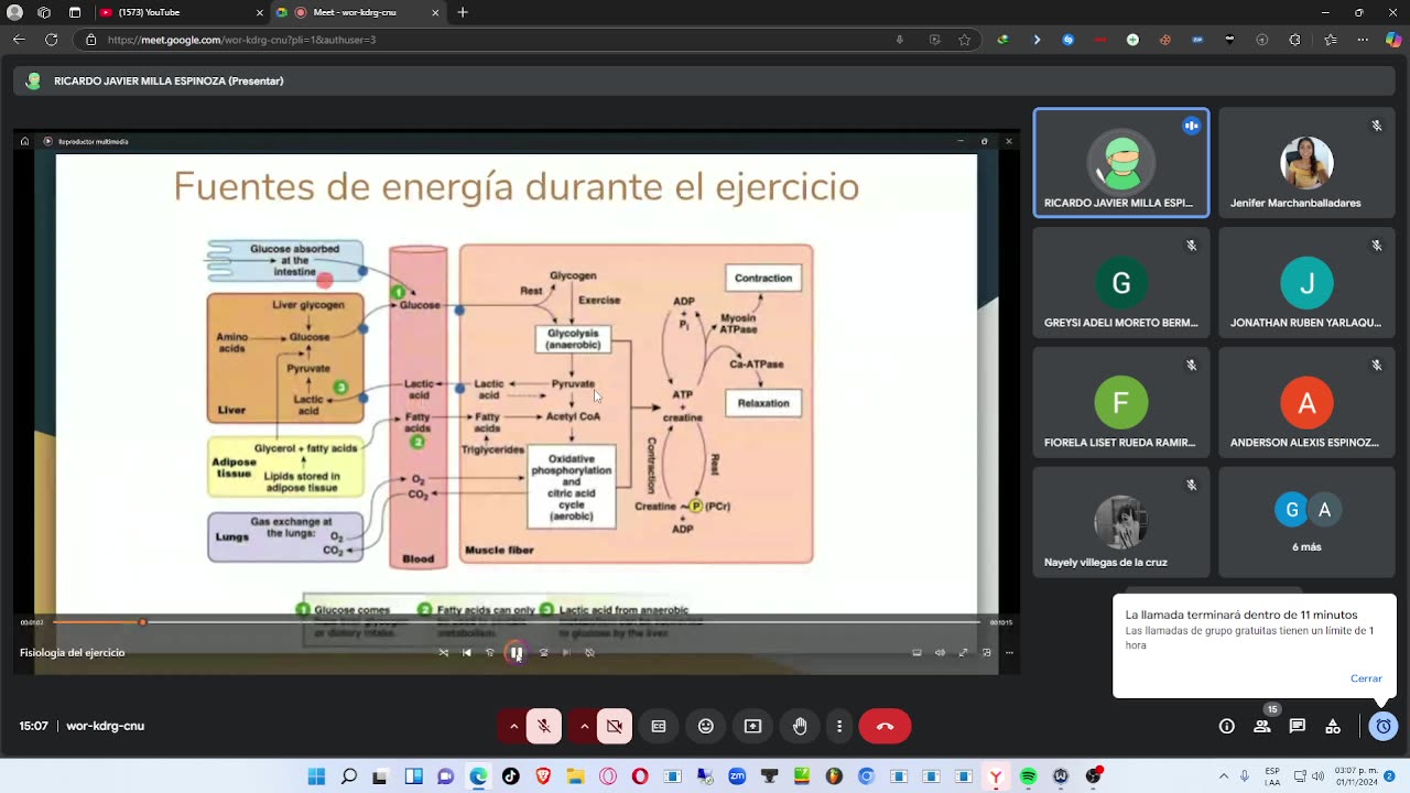 ANATOMIA CLASE SEMANA 5