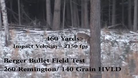 Berger Bullets Field Test