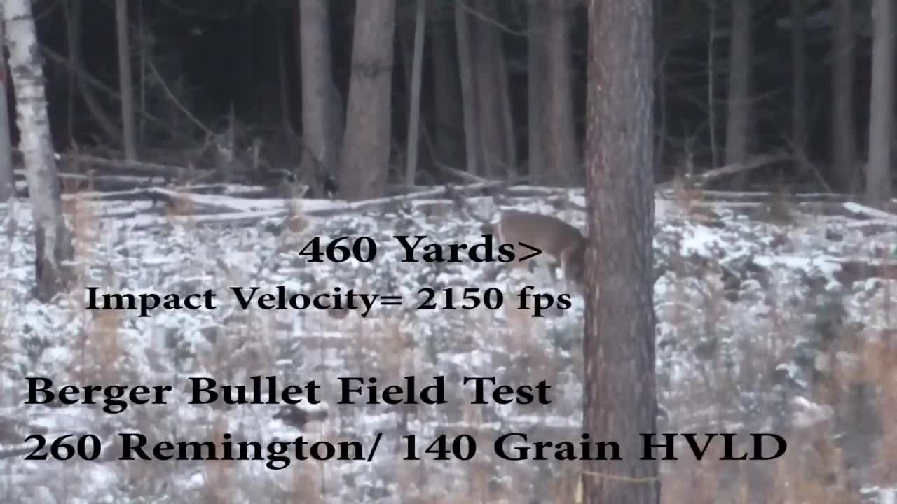 Berger Bullets Field Test