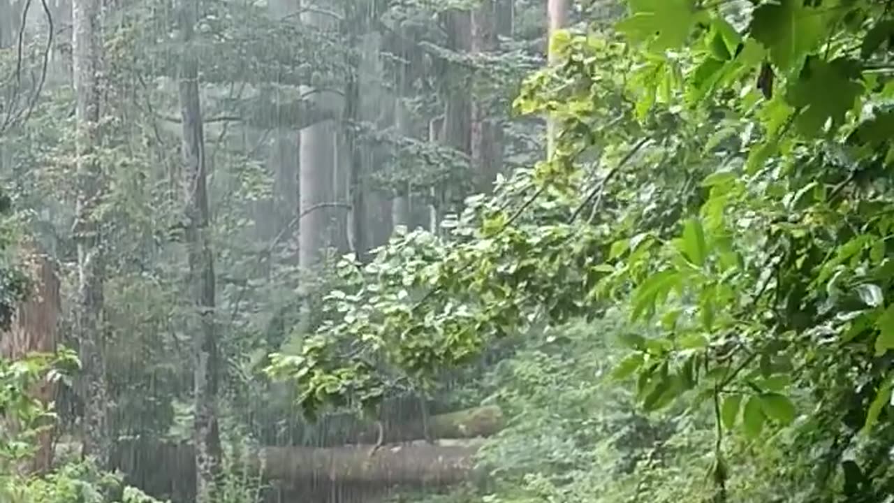 Hiking in the rain