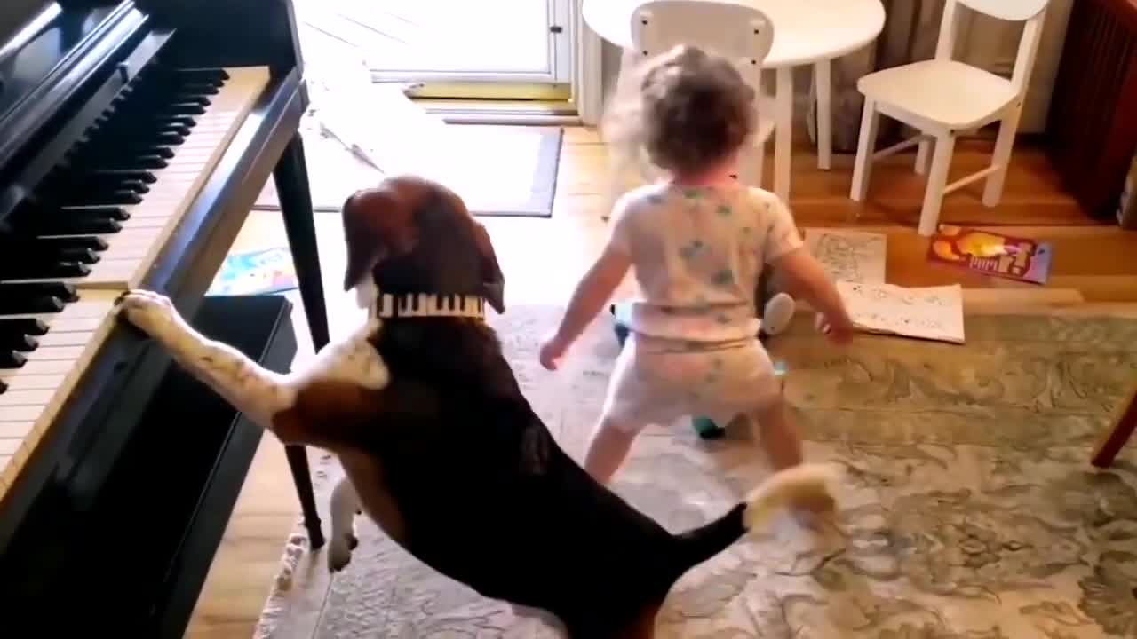 Funniest Animals Video - Funny Dogs And Cats - Try Not To Laugh Animals 2022