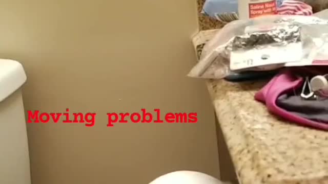 Moving Problems - Anyone else relate?