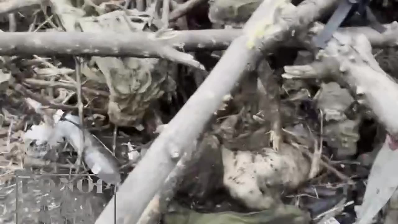 DO NOT WATCH
