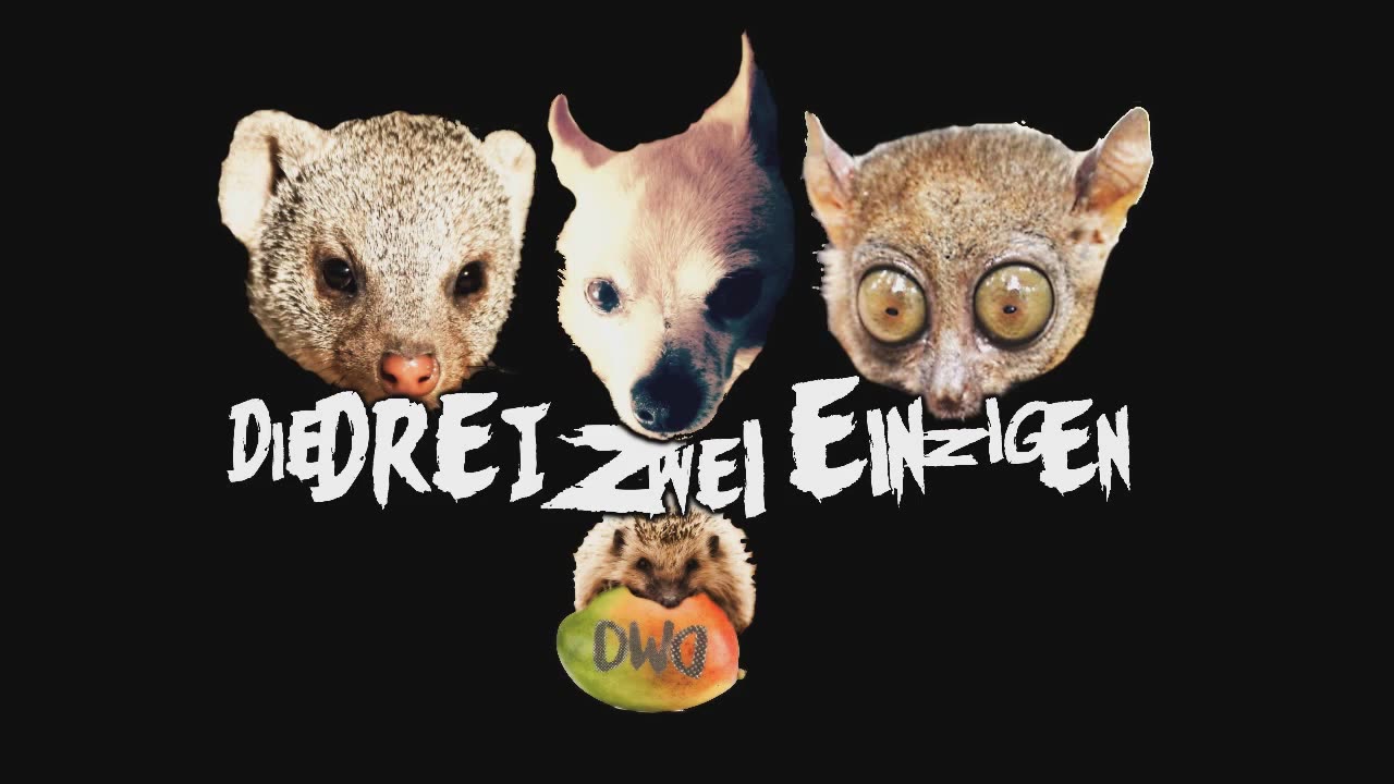 !satire!...🇩🇪 🇦🇹 🇨🇭....February 26, 2024...👉DWD👈🥇 John Carpenters They Lie ... Sie lügen