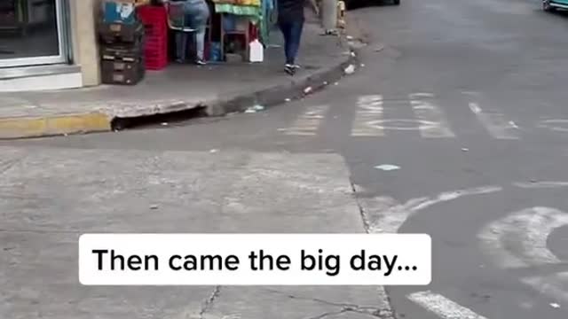 I am not crying, you are crying.