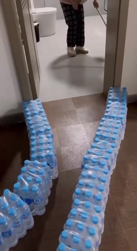 We kick the mouse out of the house