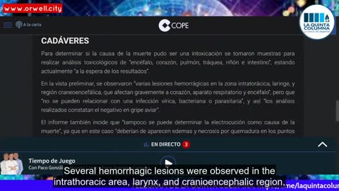 Electrofrequencies emitted by 5G antenna cause collision of hundreds of birds