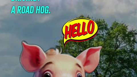 Cute Funny Animal Jokes Video 49.