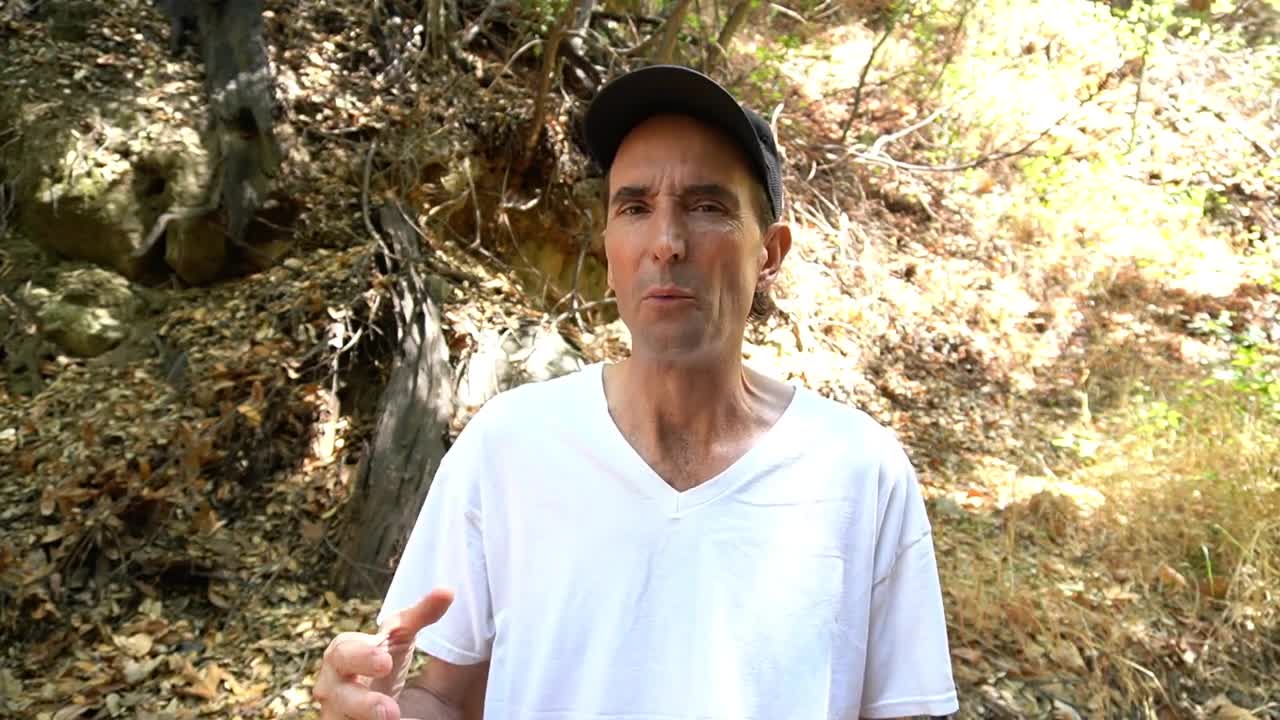 Three Things the Successful Avoid