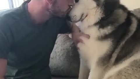 Funny Animal Video: Quality time with dad