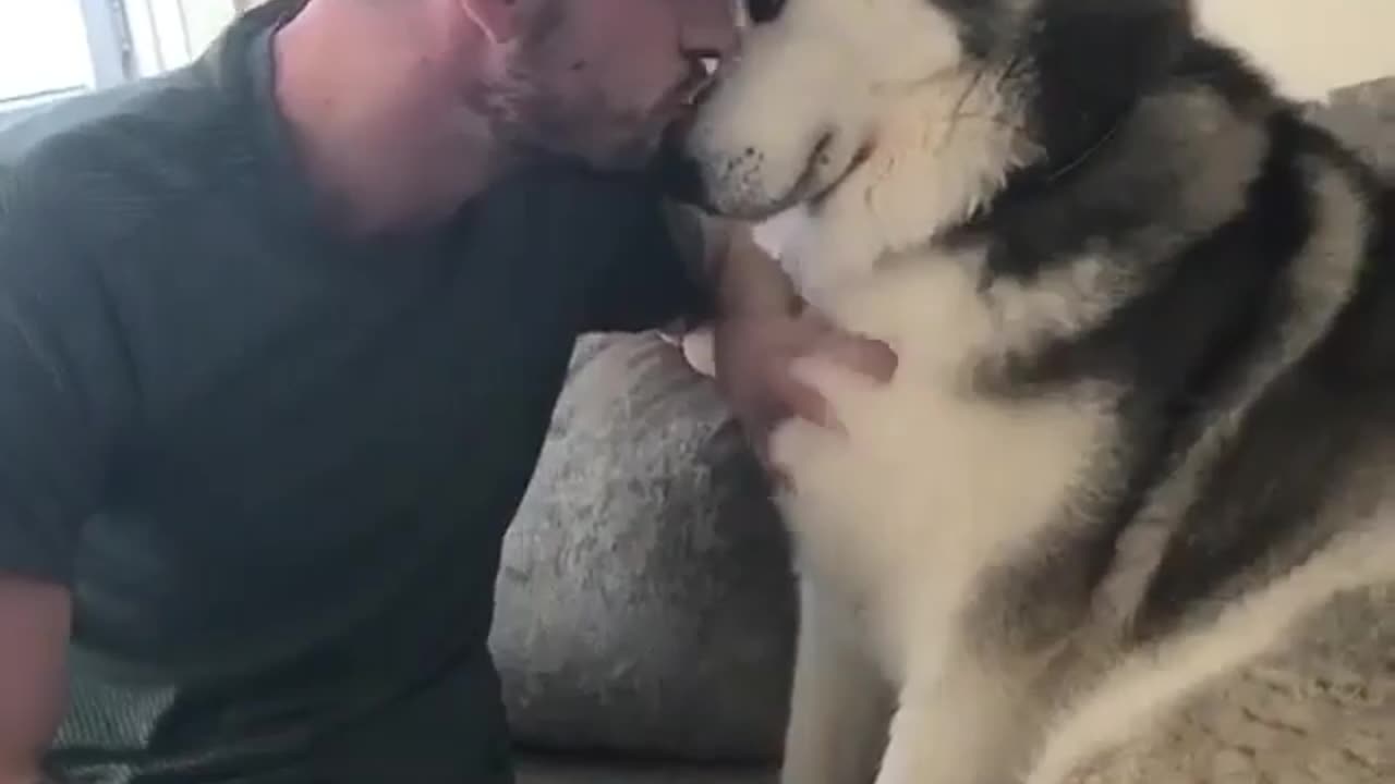 Funny Animal Video: Quality time with dad