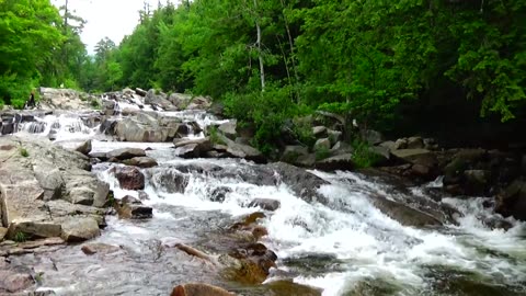 Cascades