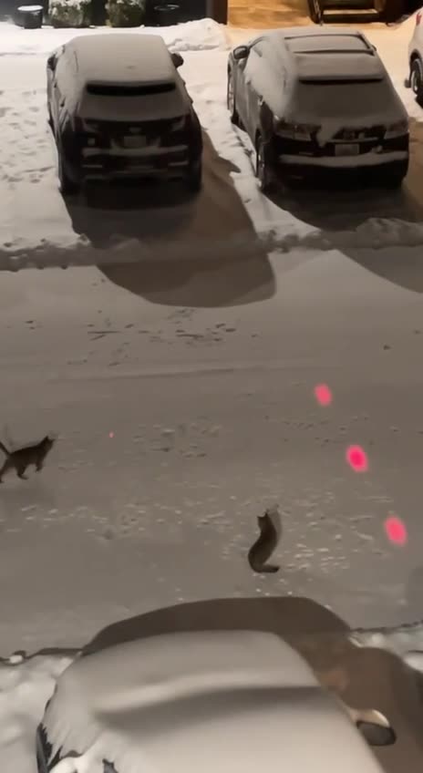 Am bored and it’s 4 am 🤣😂🤣🤣