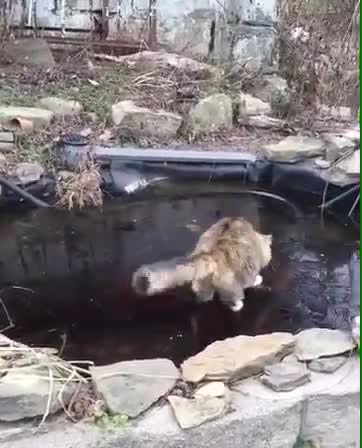 I'm gonna get you little fish...