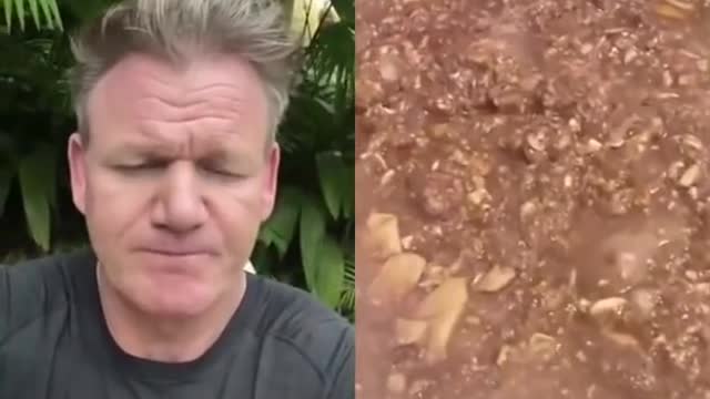 Gordon Ramsay likes the food - Gordon Ramsay Reacts to TikTok cooking