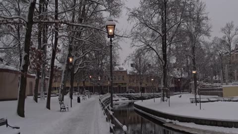 I Slottsparken. Örebro 22 Jan. 2019