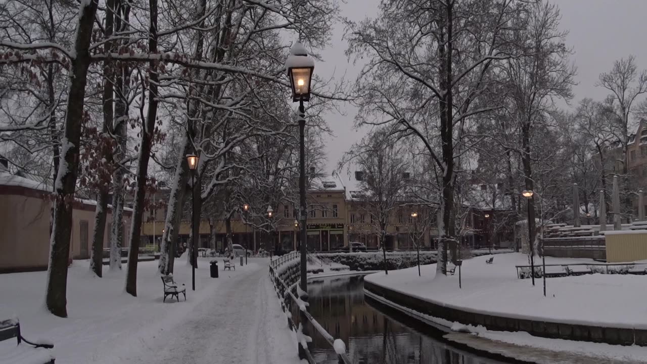 I Slottsparken. Örebro 22 Jan. 2019