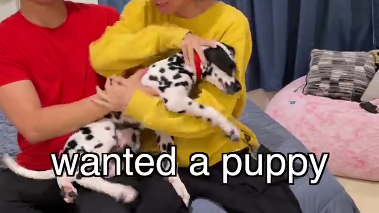 The World's Rarest Puppy