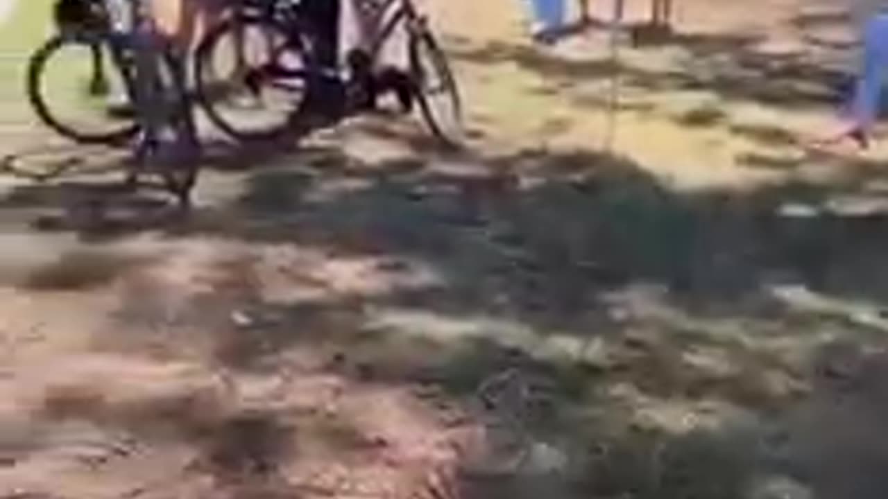 דוקטור מאוסטרליה בזמן המגיפה אסור היה לנו לדבר ולהזהיר את הציבור מהחיסונים והתוצאה היא מוות של אנשים