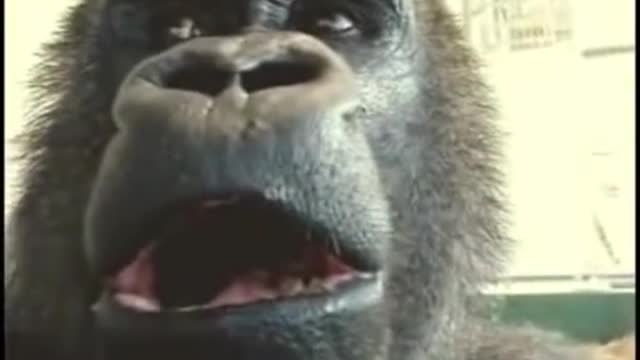 These things happen at the least opportune moment!