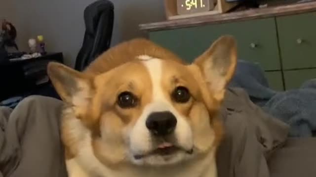After all that Face he don't even catch it