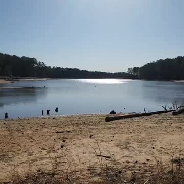 Camping, lake, state park, water low