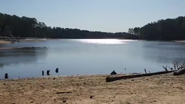 Camping, lake, state park, water low
