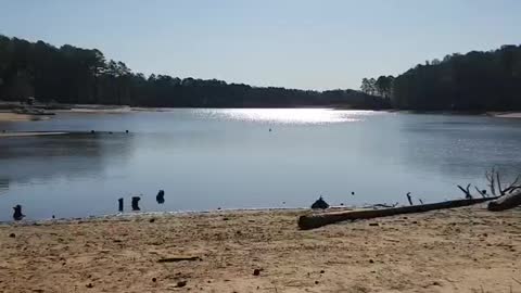 Camping, lake, state park, water low