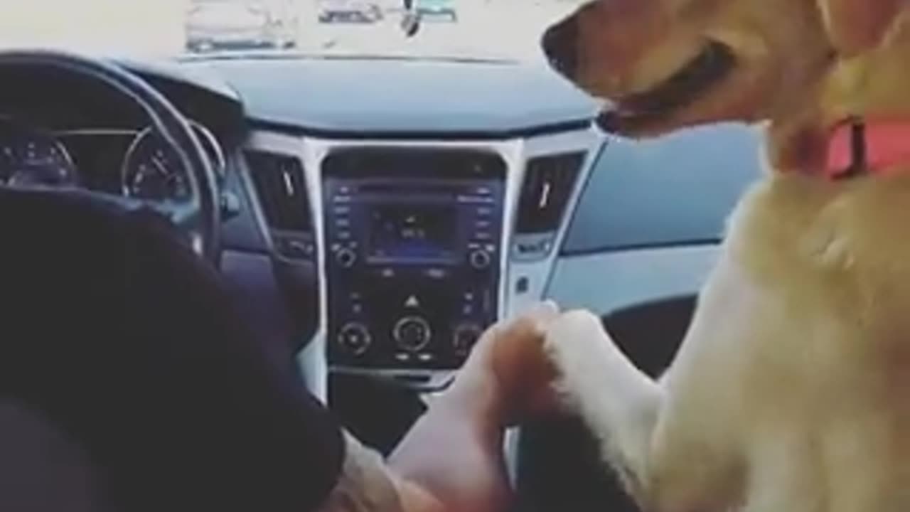 No no you stay here #4