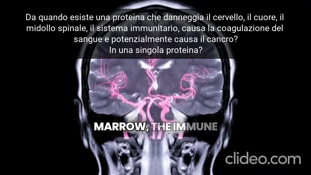 "Il vaccino covid, secondo rigidi criteri militari, è un'arma biologica"