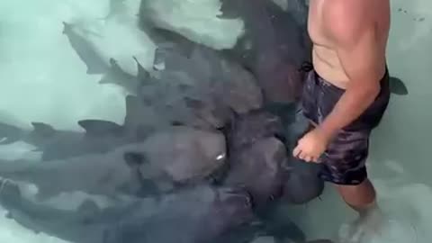 Instructor gives pep talk to Nurse Sharks