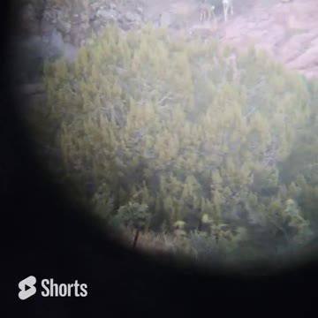 THE FRUSTRATION OF LIVING IN A BUCK ONLY STATE