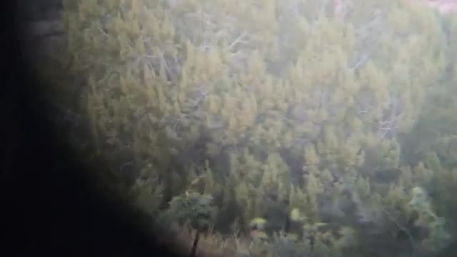THE FRUSTRATION OF LIVING IN A BUCK ONLY STATE