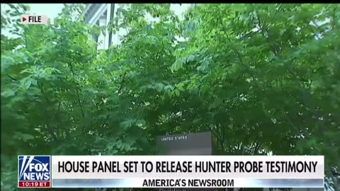 House panel set to release Hunter probe testimony