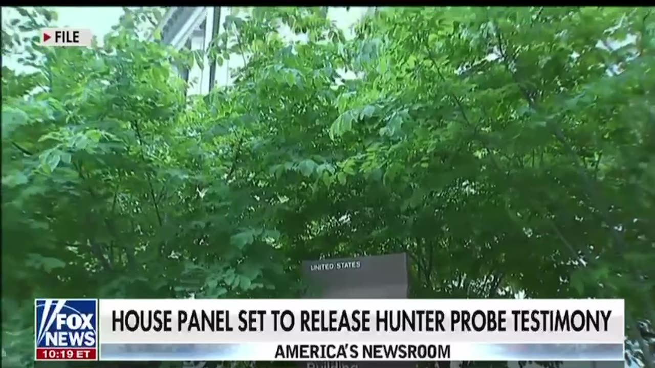 House panel set to release Hunter probe testimony