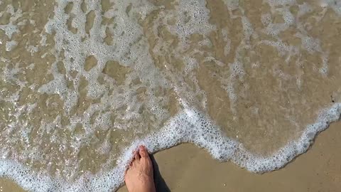 Retired Traveler, Footsteps on the beach...