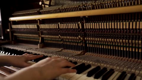 Franck Muller Curvex CX Piano