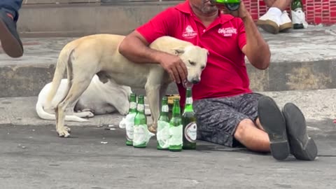 Mans Best Friend... And Arm Rest