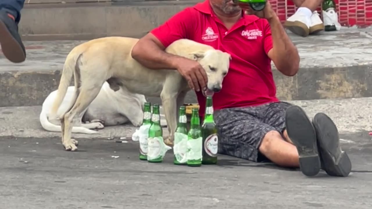 Mans Best Friend... And Arm Rest