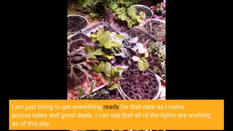 AGLEX COB 2000 Watt LED #GrowLight Full Spectrum-Overview