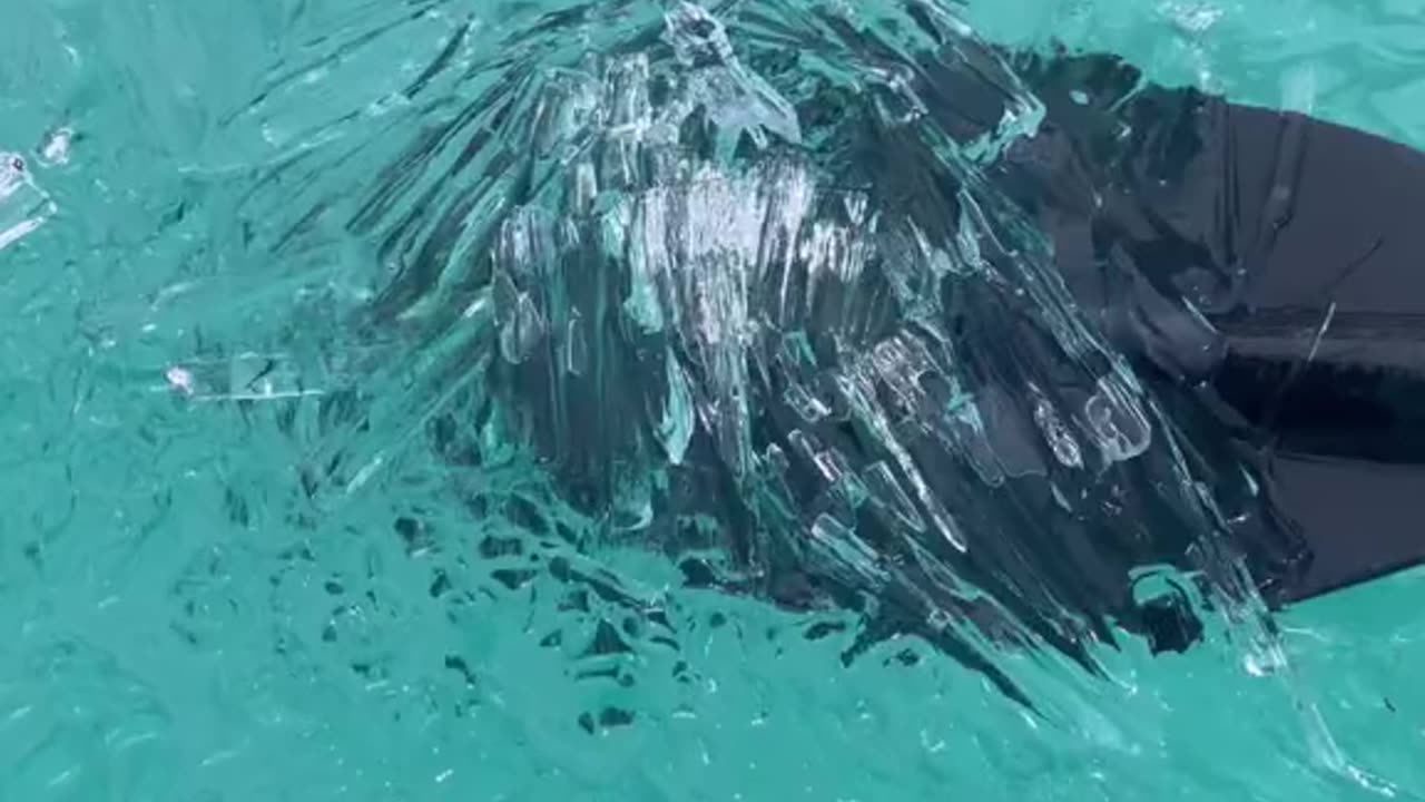 How are you feeling beats 😦to make America great to get a