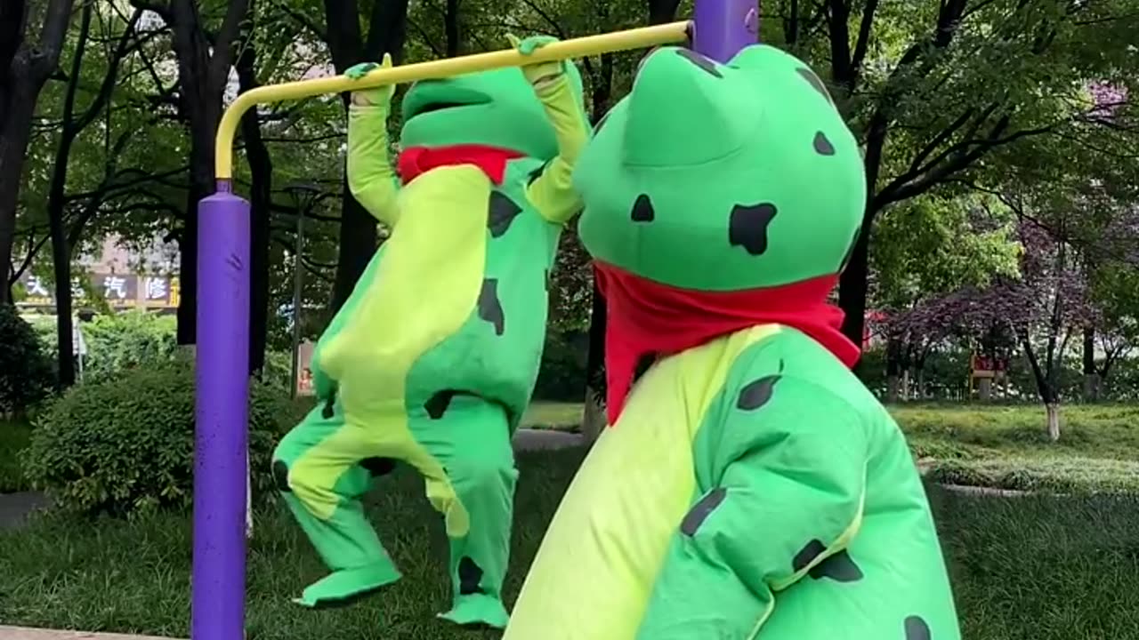 funny frog