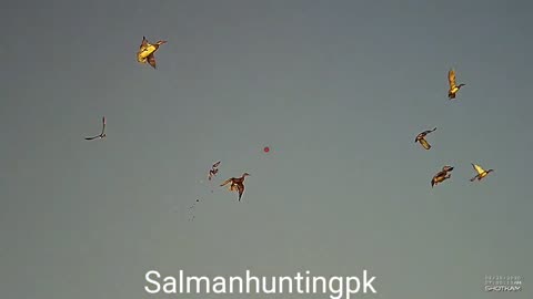 Hunting with shotkam