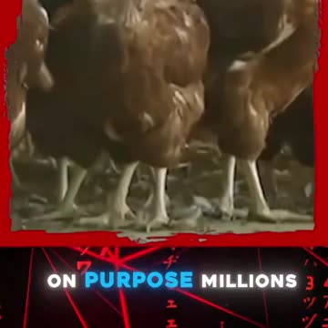 They’re targeting the UN-vaccinated through our FOOD SUPPLY