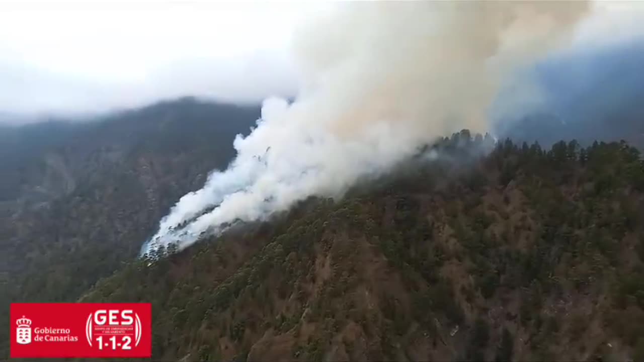 Aerial footage shows smoke rising from Canary Islands wildfire